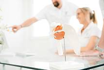 Modell mit Ärzteteam unscharf im Hintergrund