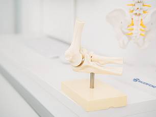 Modell eines Ellenbogens